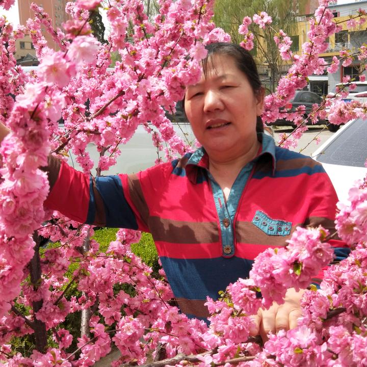 李素民