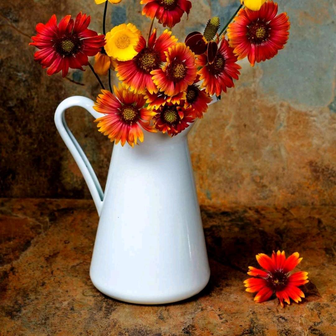 一生平安一路走来心酸😂😂