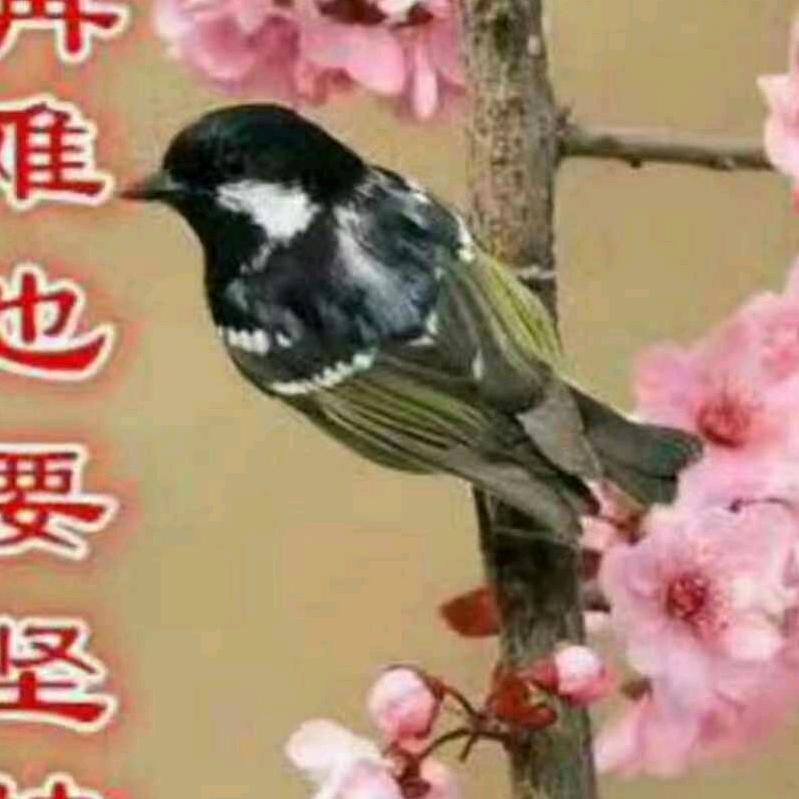早去晚归