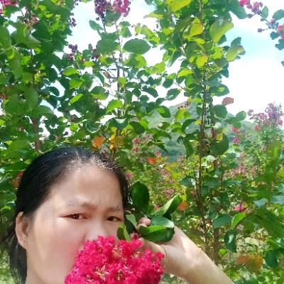 爱一直到永远