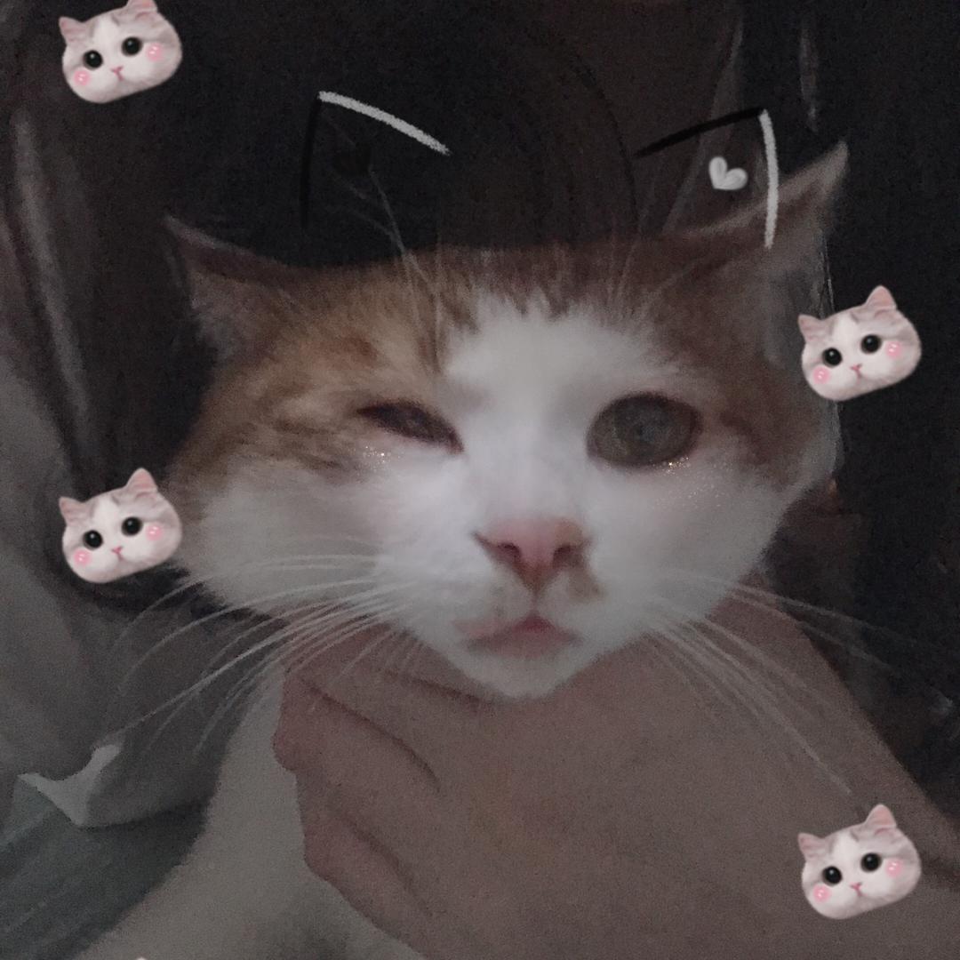 👑双双