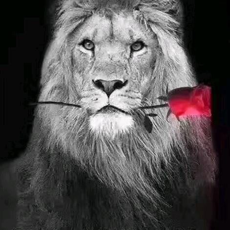 野性在等待中J.L