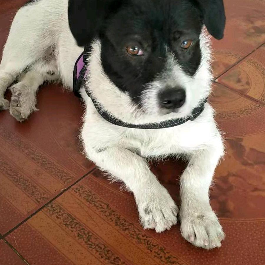 下原小符盲人抖音小玩怡情