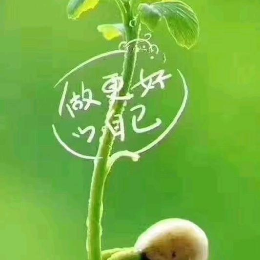 圣路易斯家纺店