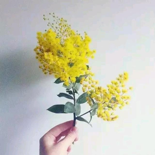 蒙福人生