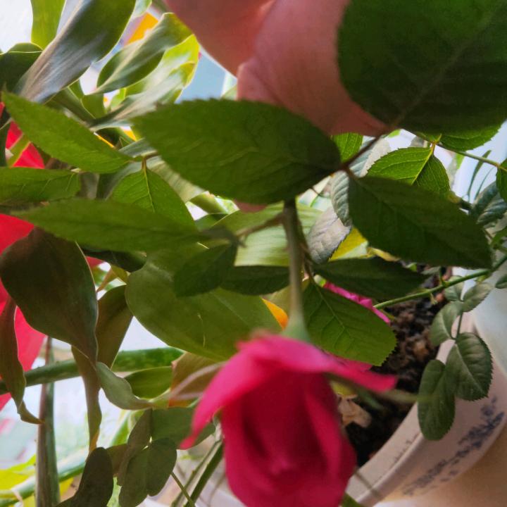 2134👌👌✌️✌️[嗯嗯],点击[