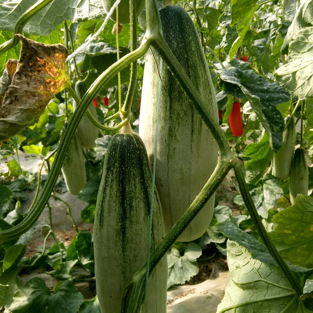 我对现实很无奈