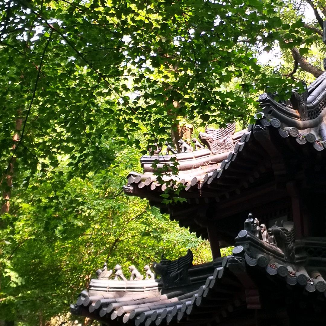吉祥蓓蓓