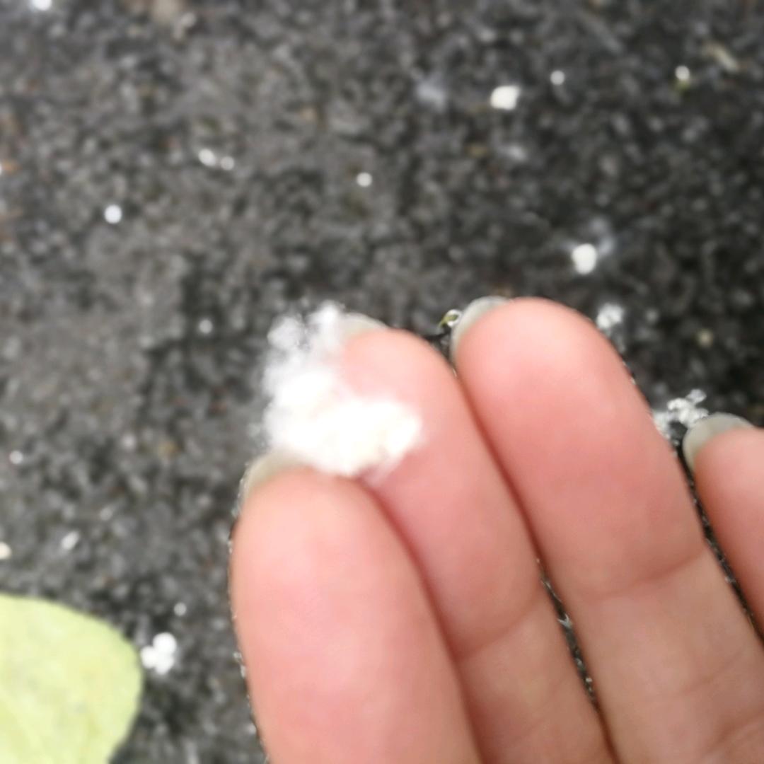 泡泡糖