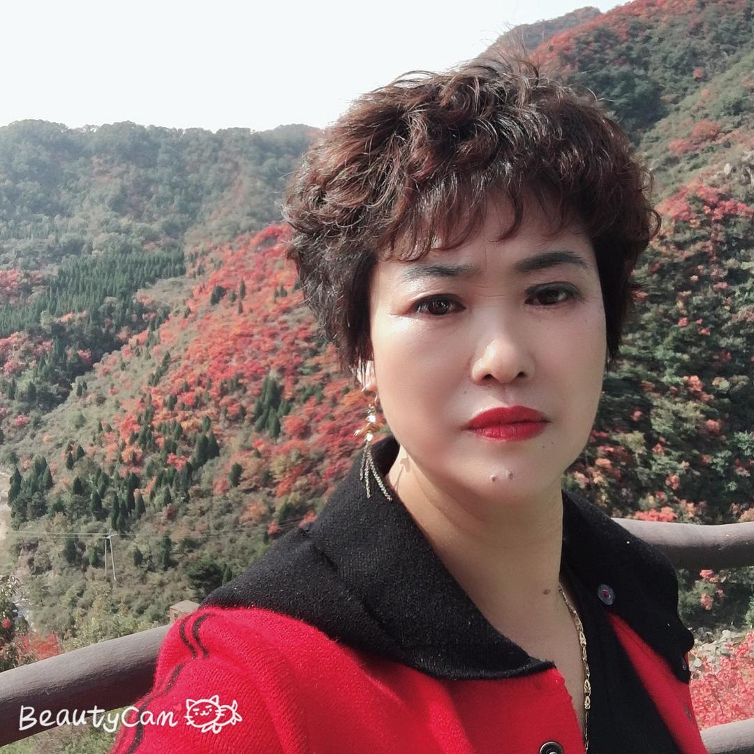 问世间情为何物