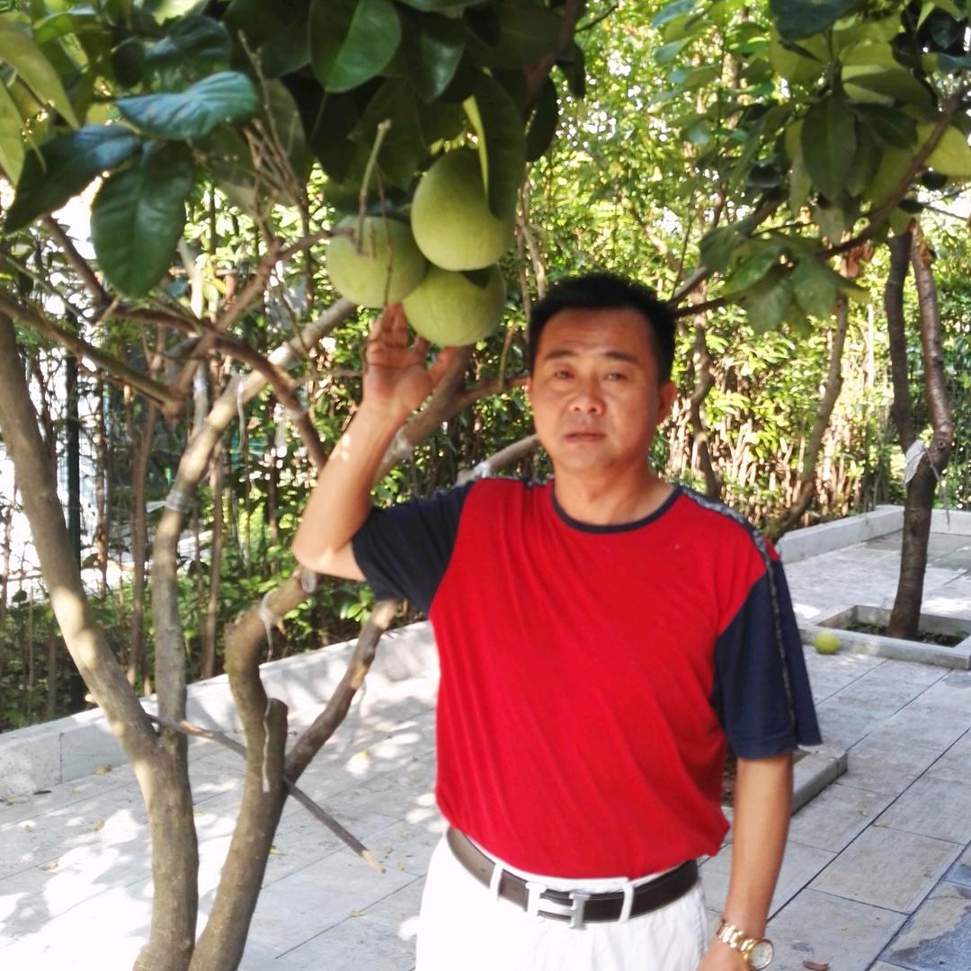 天桥