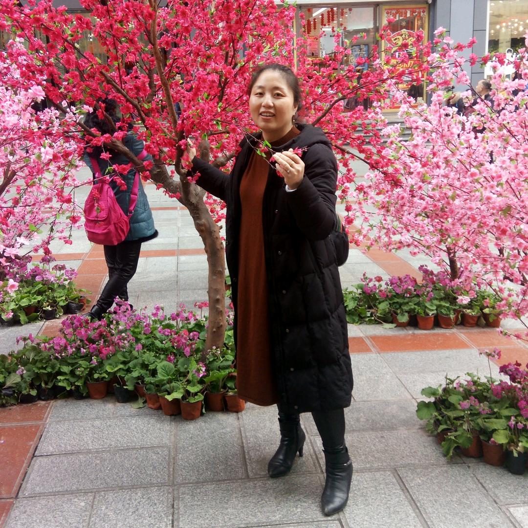 镜花水月