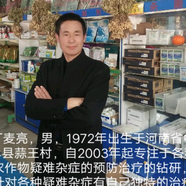 蒜王老丁农业【全国招商加盟】