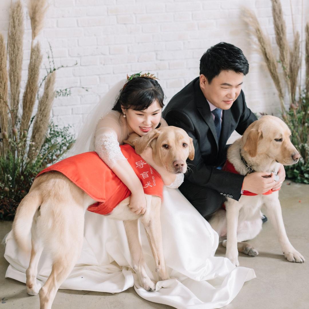 导盲犬小杰