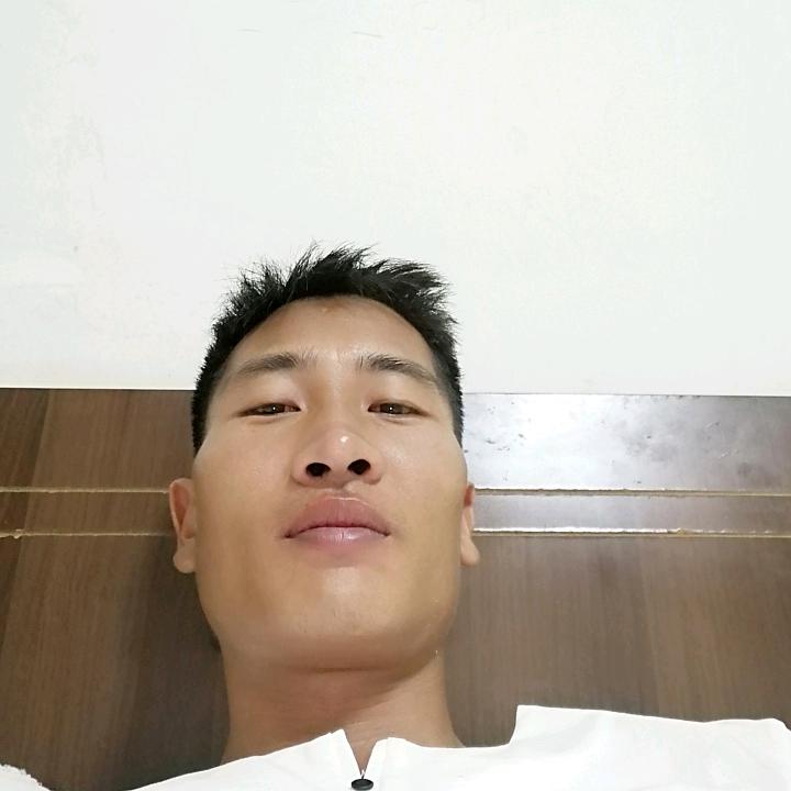 仲元胡蜂养殖