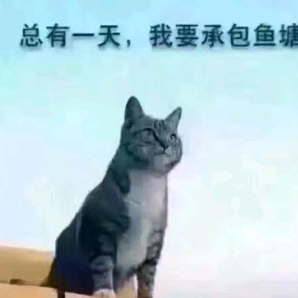 神雕大侠