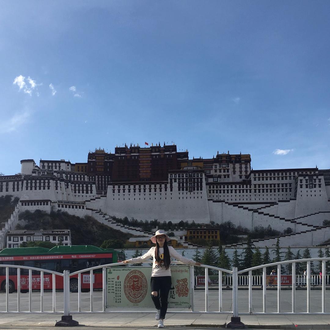 小董什么也不懂
