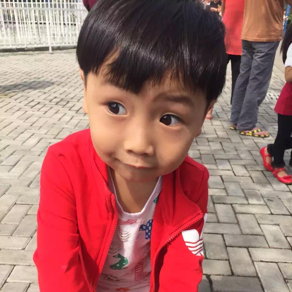 超然于歌