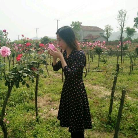 骄阳似我💃
