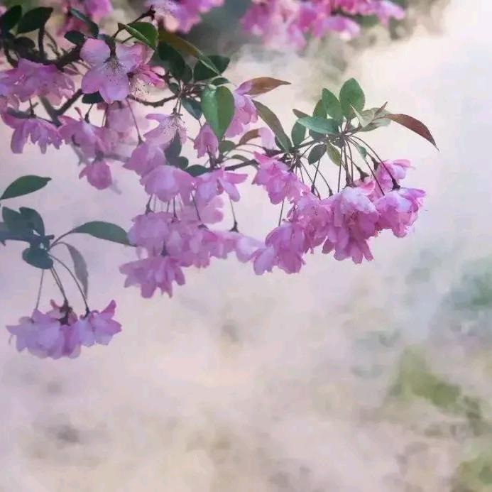 清风细雨