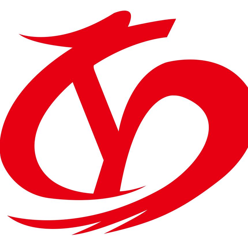 龙扬创始人
