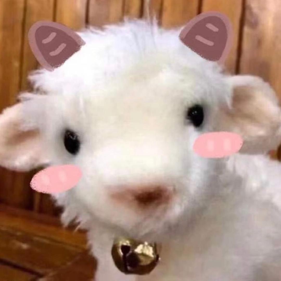 树袋熊🐨