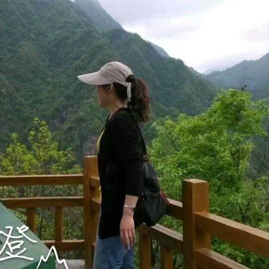 罗小罗