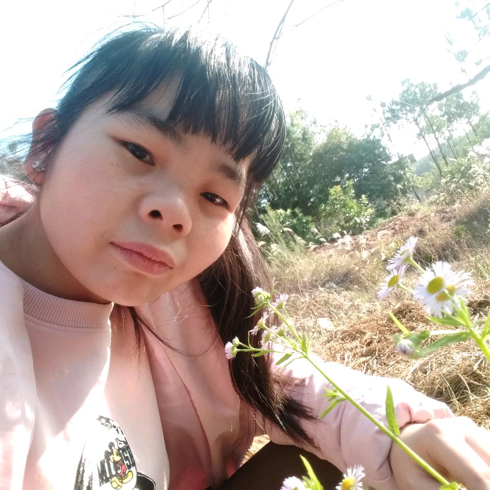 小燕子