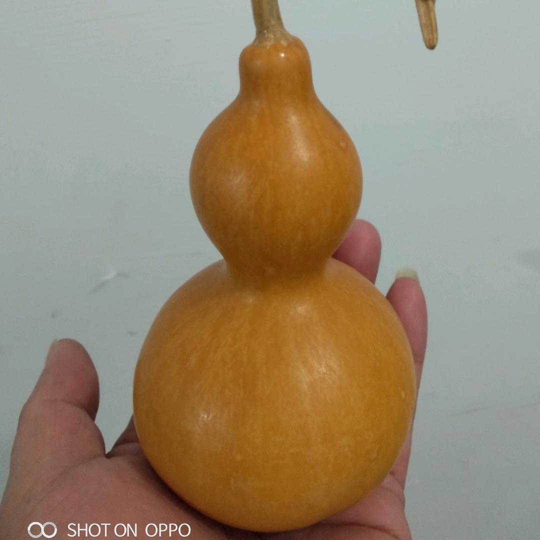 平凡的人（养蜂人的快乐)