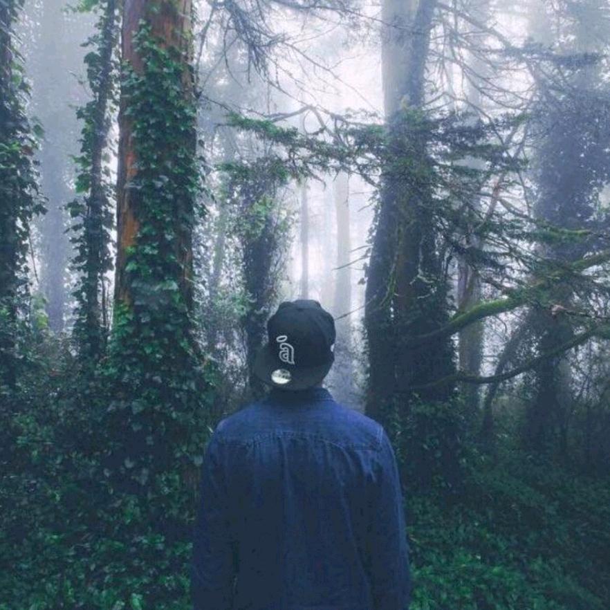 深海有鲸你有我