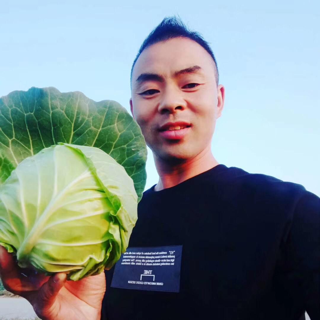 白菜哥