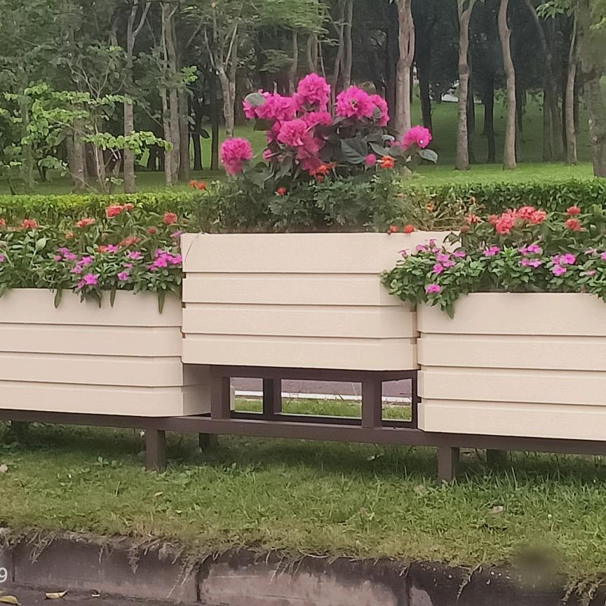 幸福代码