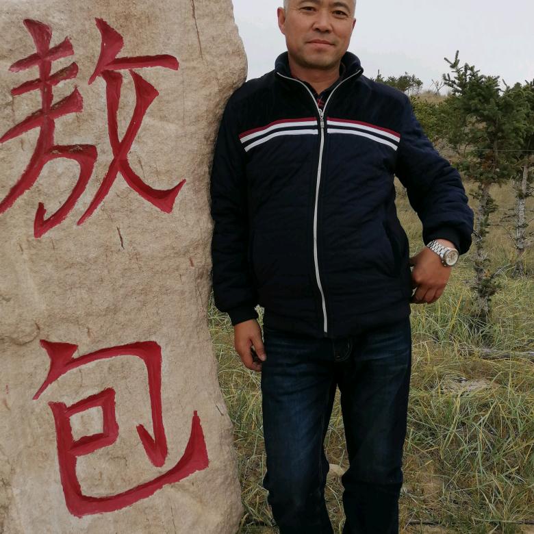 飞翔吧!放手吧