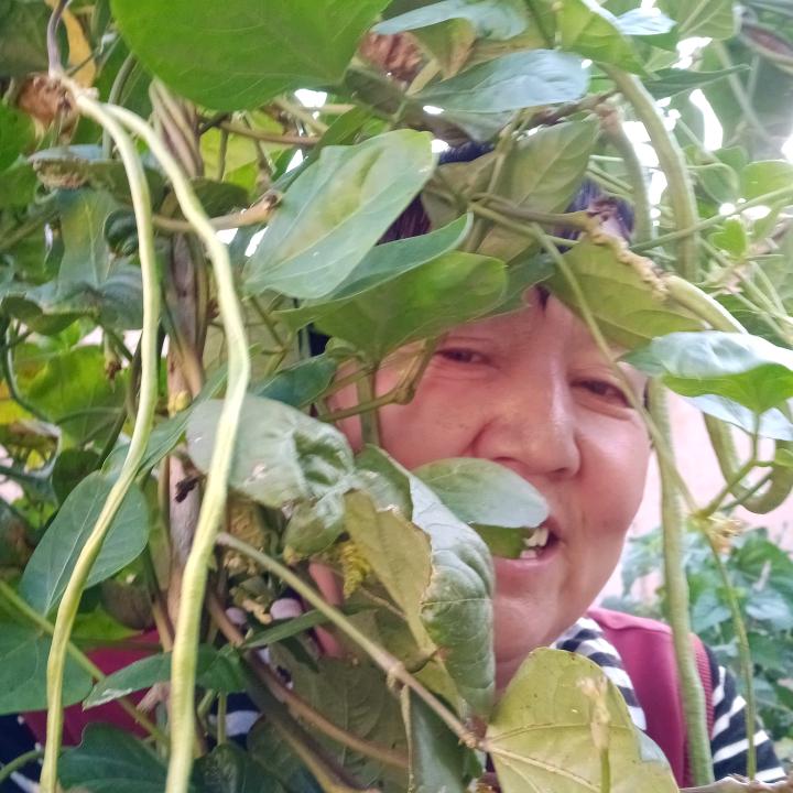 幸福平安