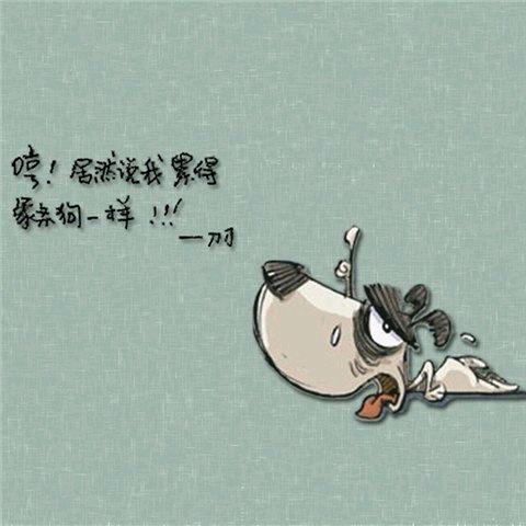 骑驴追火箭