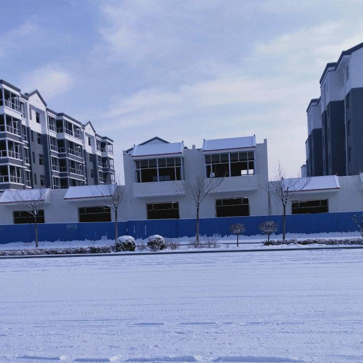 冬天的阳光