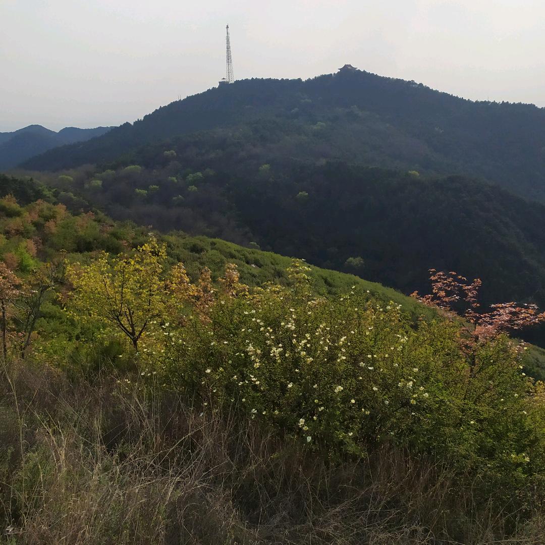 长治-山西鼎日晟科技有限公司