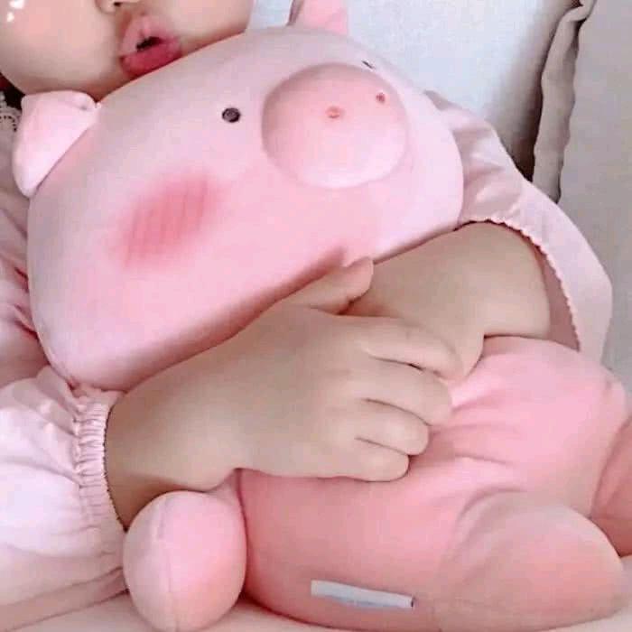 柒柒不气<