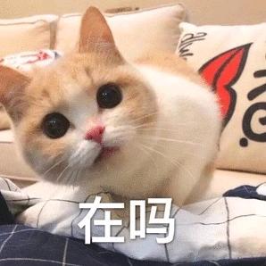 只能亲一口哦（见过王源版）