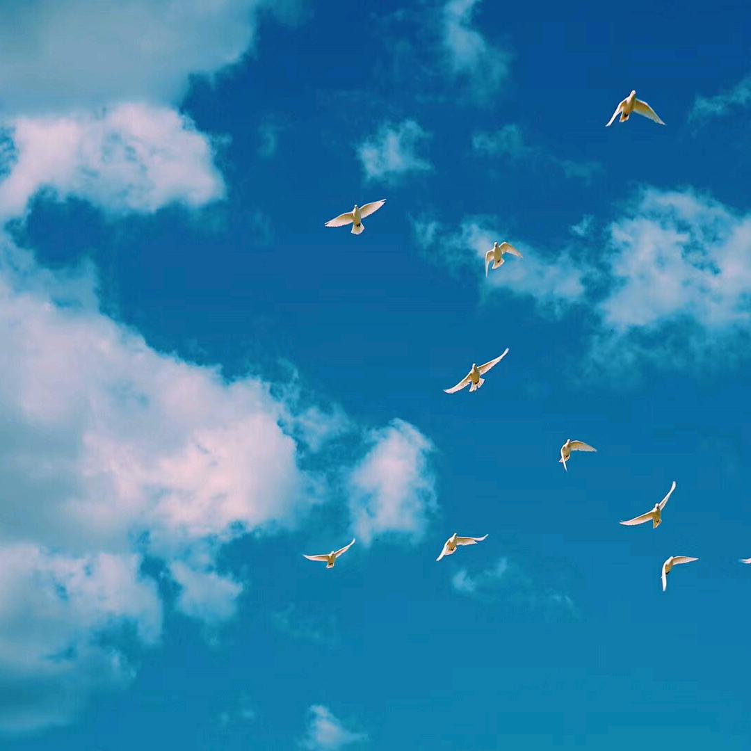 凯