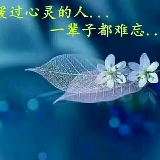 丽春