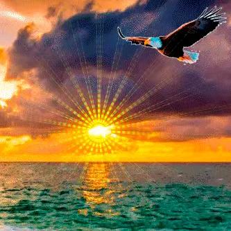 如果巅峰留不住，就重走来时路