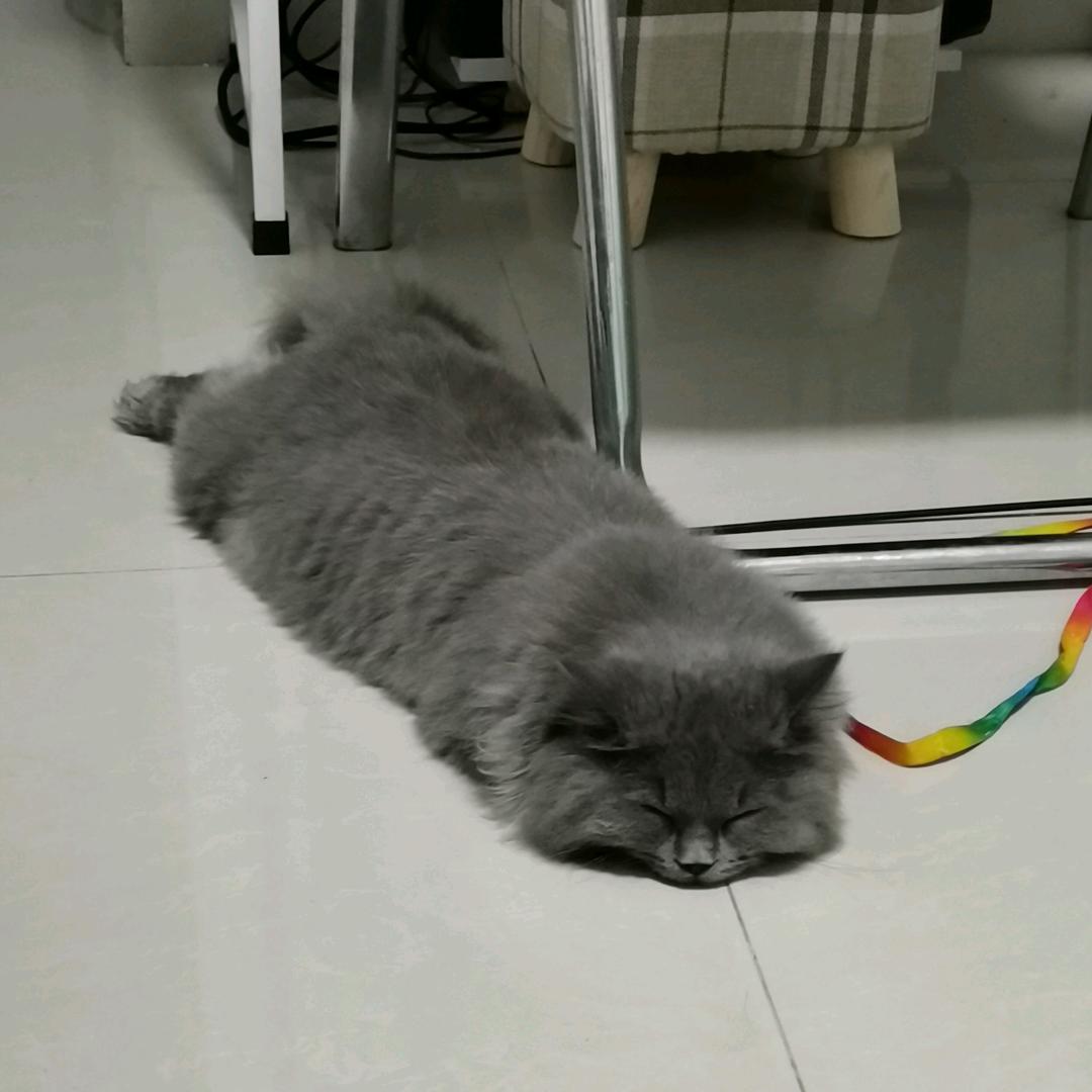 钻石星尘