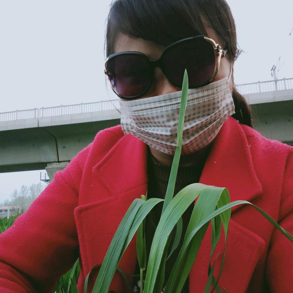 张家小磨香油