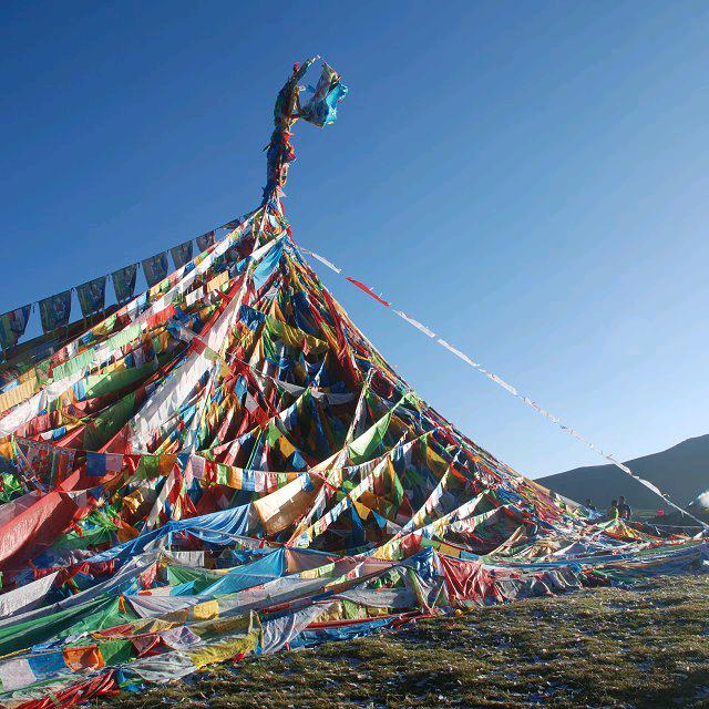 阿舞凉皮烤冷面(山海)