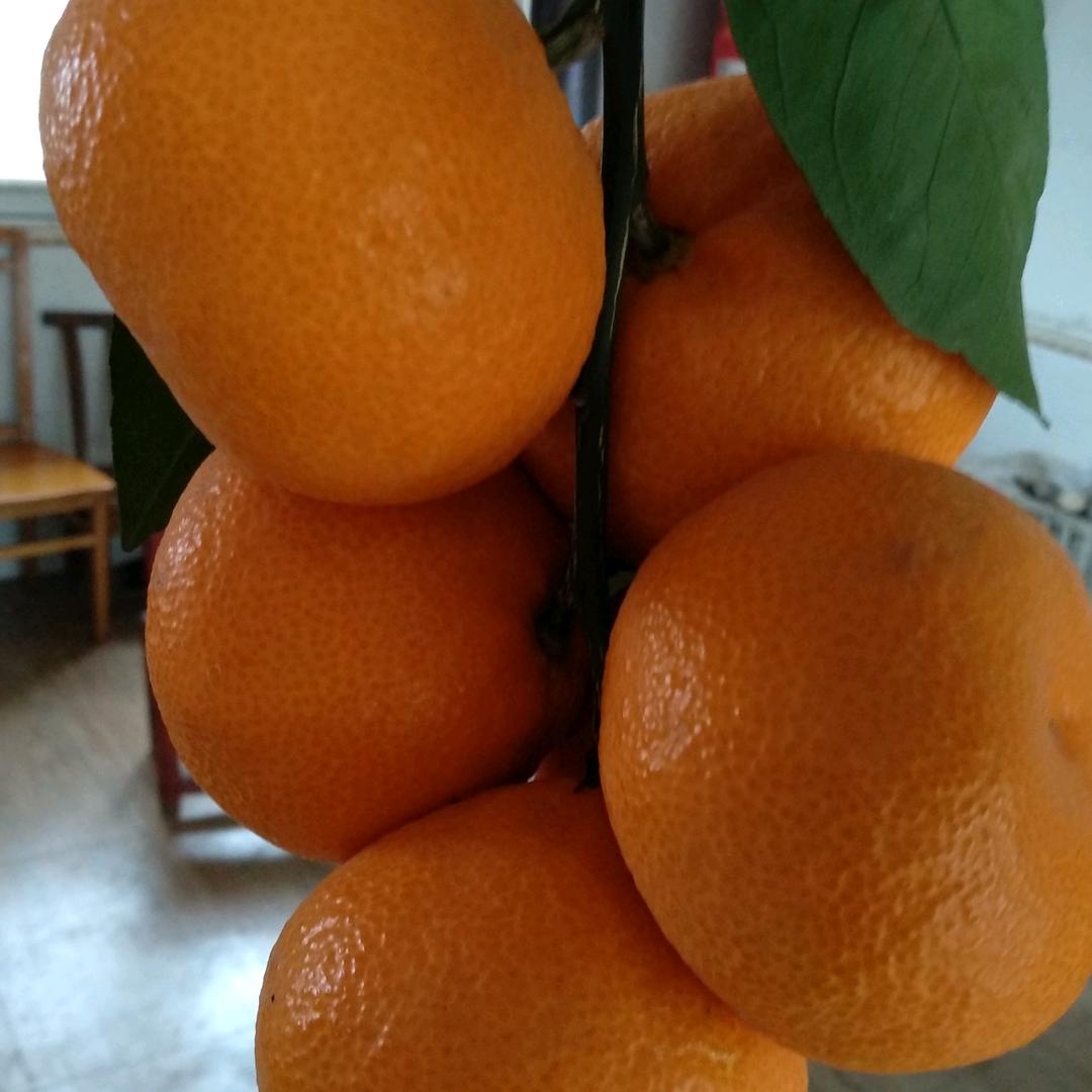 用户6450536695812知足常乐