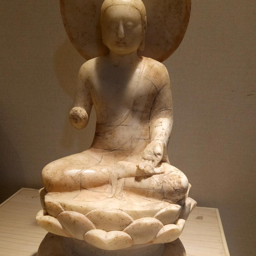 金色年华