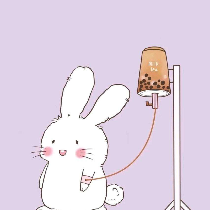 狐狸CC（互关版）