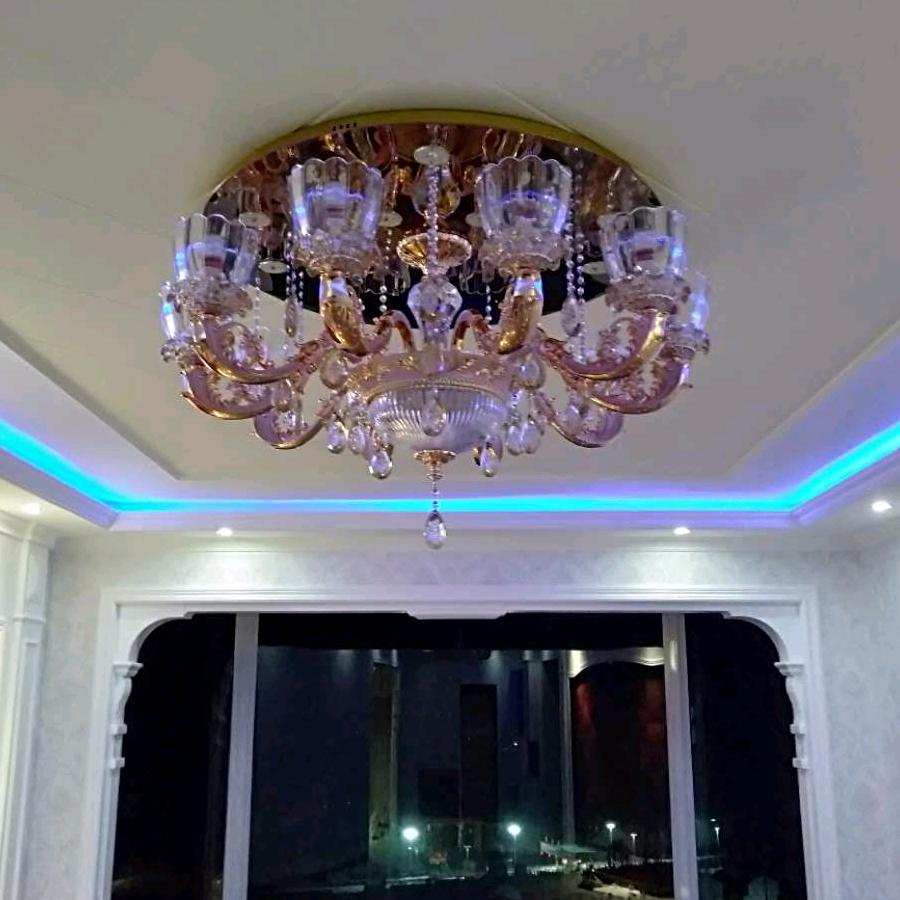 丽比特照💡💡