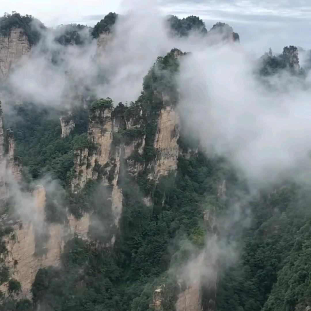 小哥哥
